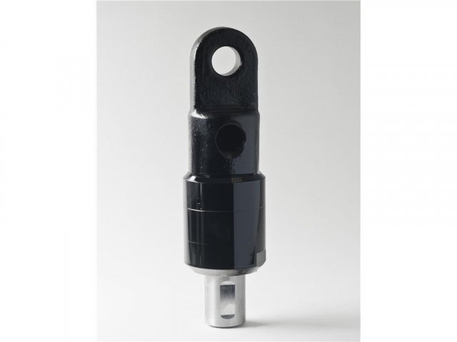 water swivel assy