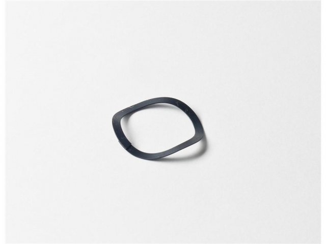 spring washer